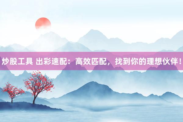 炒股工具 出彩速配：高效匹配，找到你的理想伙伴！