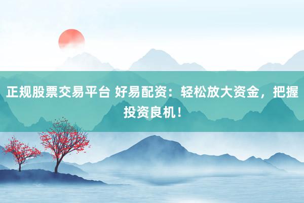 正规股票交易平台 好易配资：轻松放大资金，把握投资良机！