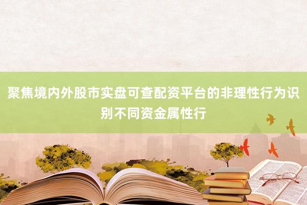 聚焦境内外股市实盘可查配资平台的非理性行为识别不同资金属性行