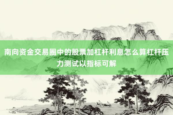 南向资金交易圈中的股票加杠杆利息怎么算杠杆压力测试以指标可解