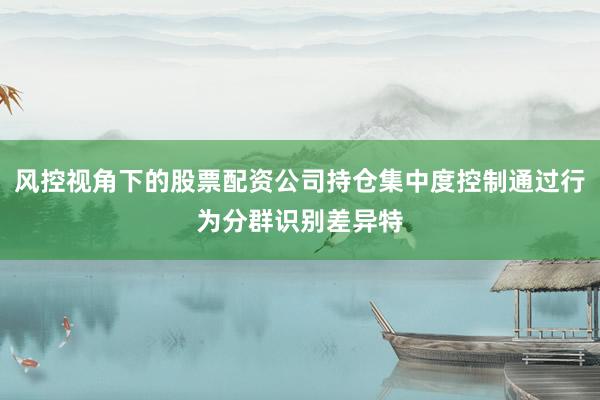风控视角下的股票配资公司持仓集中度控制通过行为分群识别差异特