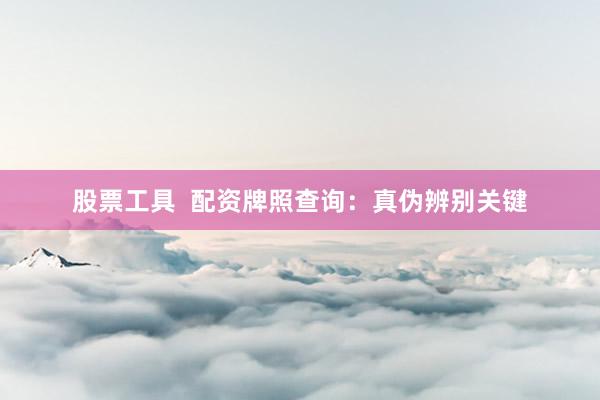 股票工具  配资牌照查询：真伪辨别关键