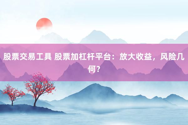 股票交易工具 股票加杠杆平台：放大收益，风险几何？